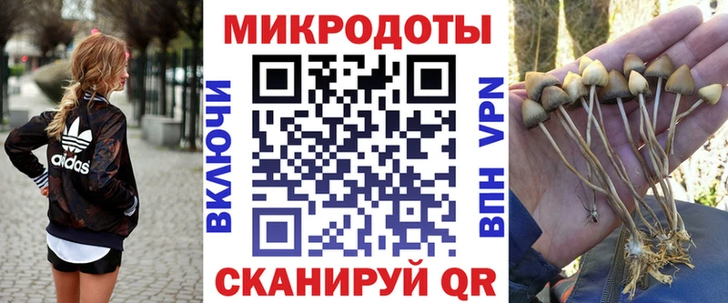 Галлюциногенные грибы Magic Shrooms  blacksprut вход  Плавск  где найти  